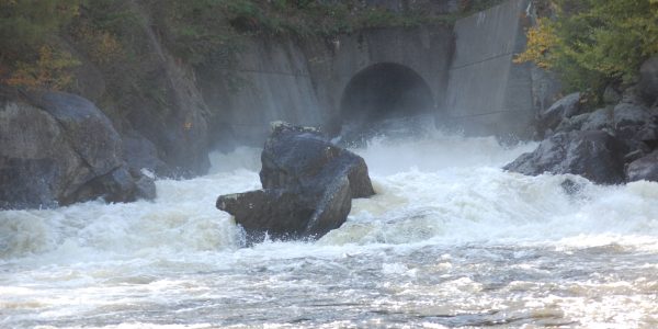 River rapids in Jamaica State Park.