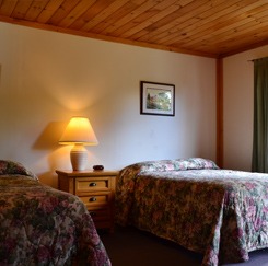 Spring Cottage bedroom with two beds and a lamp in the middle